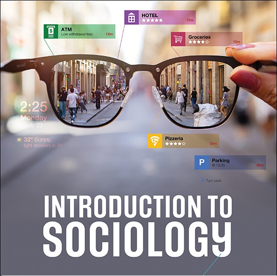 INTRODUCTION TO SOCIOLOGY cover